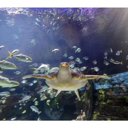 Küstenkind * Timmendorfer Strand